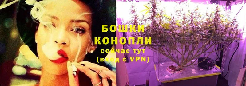 как найти закладки  Николаевск-на-Амуре  Бошки марихуана White Widow 